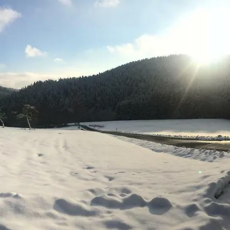 Wildenreuth