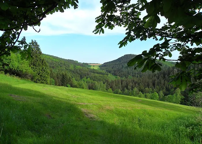 Apartamento Wildenreuth *