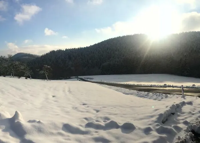 Wildenreuth