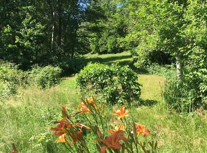 Wildenreuth Apartamento *